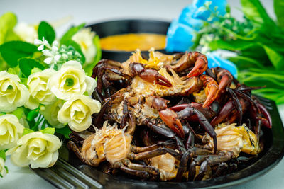 High angle view of meal served on table