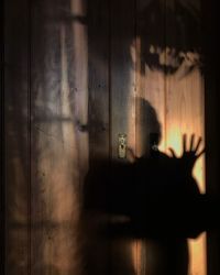 Close-up of shadow of hand on door