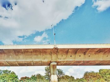 Low angle view of trees against blue sky