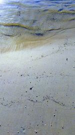 Close-up of sand on beach