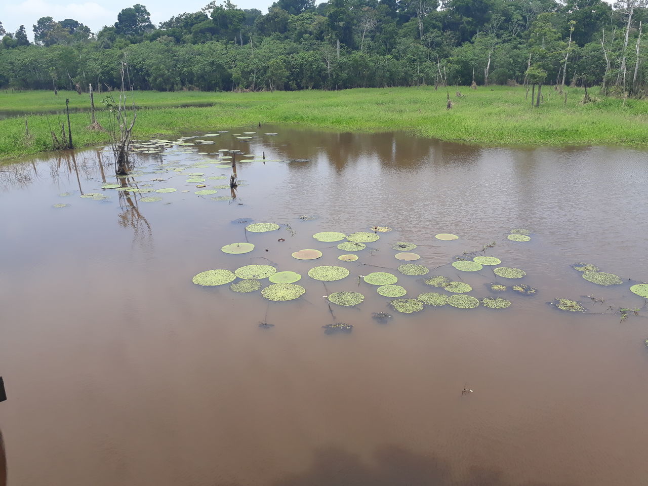 SCENIC VIEW OF LAKE