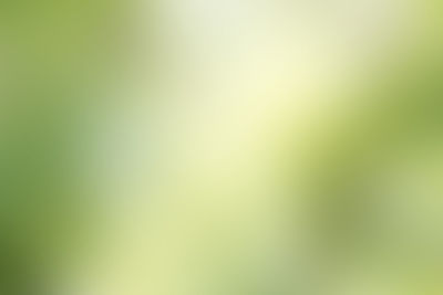 Defocused image of sunlight