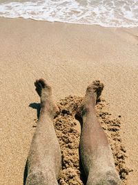 View of sandy beach