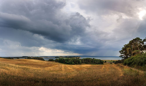 Scenic view of field against sky