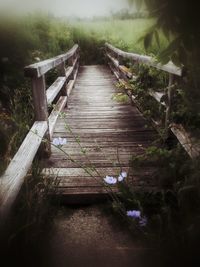 View of wooden walkway