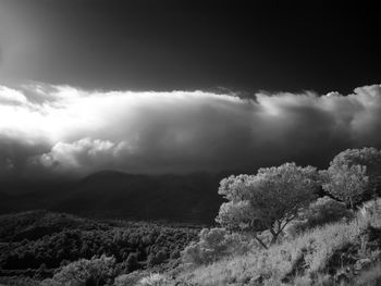 Scenic view of landscape against cloudy sky