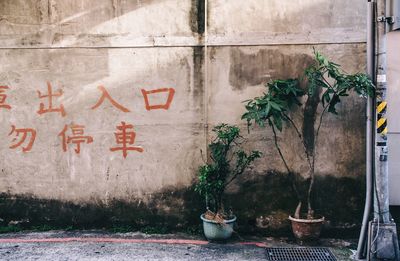 Handwriting on the wall about parking lots entrance.