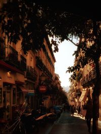 Buildings in city
