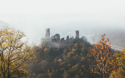 Trees and buildings against sky during autumn