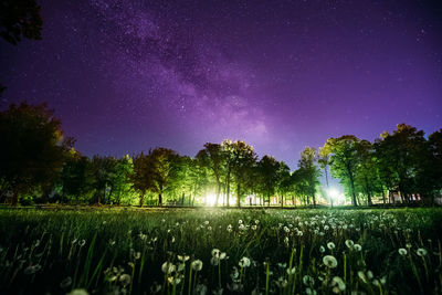 Scenic view of trees on field against sky