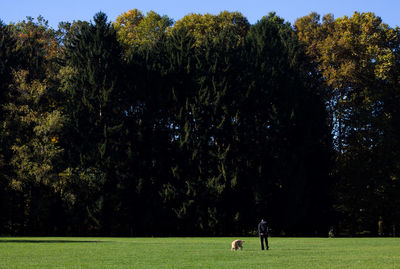 People on field by trees in park