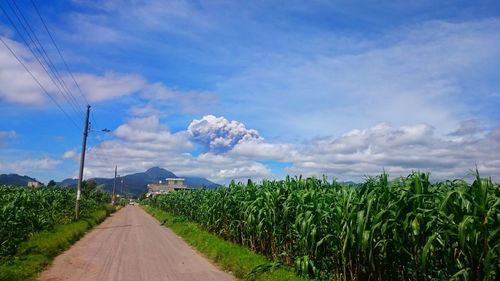 Panoramic view of agricultural field against blue sky