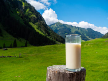 Glass of wooden post on land against sky