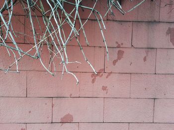 Full frame shot of brick wall