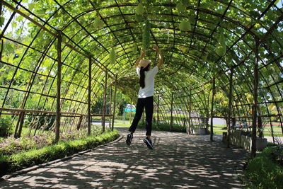 Full length of woman standing in forest