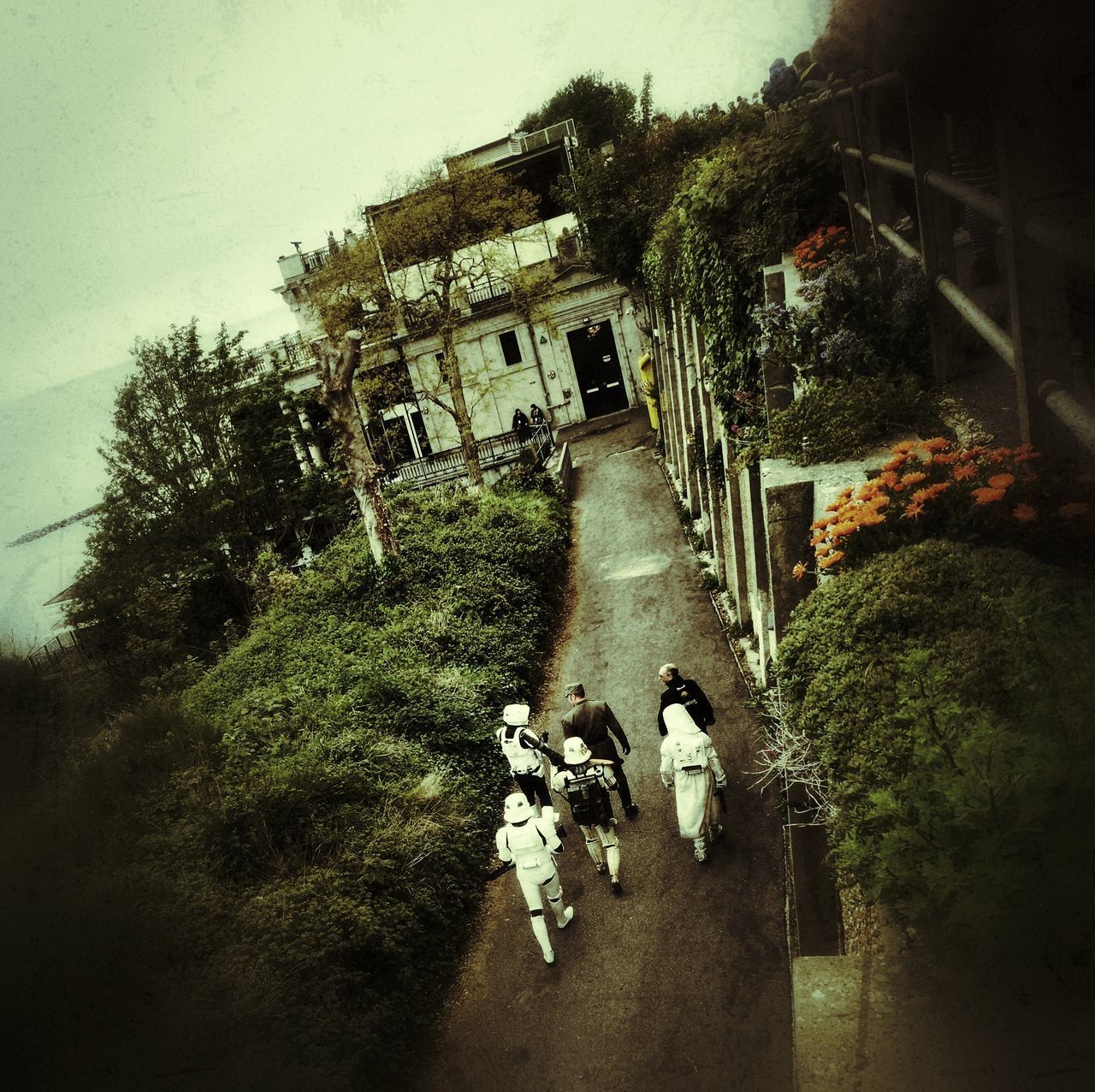 REAR VIEW OF PEOPLE WALKING ON PLANTS AGAINST SKY