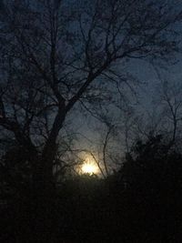 Silhouette bare trees against sky during sunset