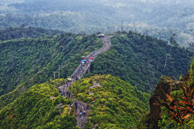 High angle view of winding road in forest