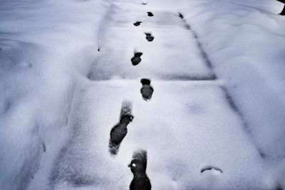 Close-up of snow