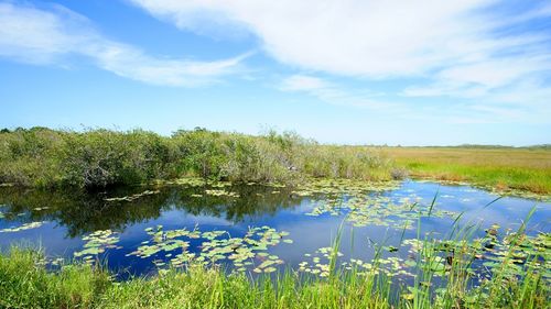 Scenic view of lake against sky