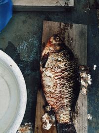 High angle view of fish on wood