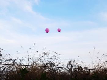 Balloons flying against sky
