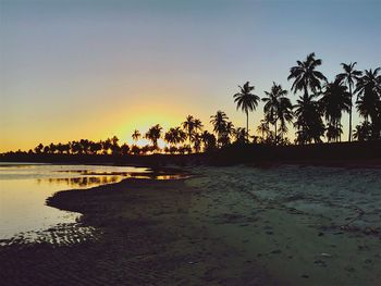 Silhouette palm trees on beach against sky during sunset