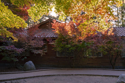Trees by house during autumn