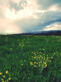 Scenic view of field against cloudy sky