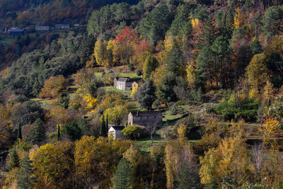 High angle view of trees and buildings