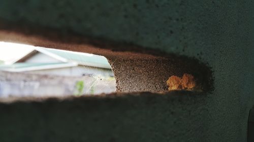 Close-up of open book