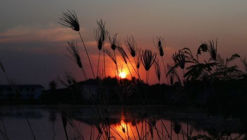 Silhouette plants by lake against romantic sky at sunset