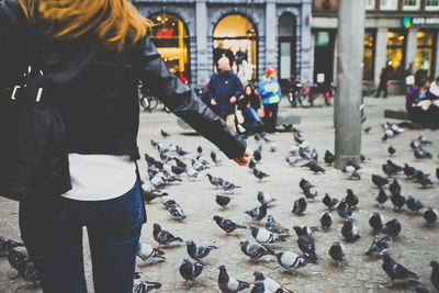 Midsection of woman standing amidst pigeons in city