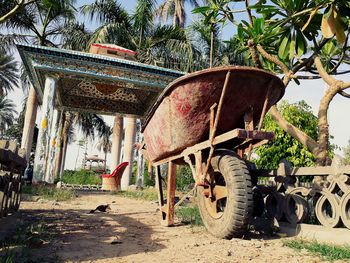 Abandoned cart by palm trees