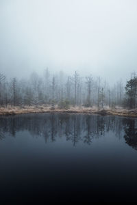 Reflection of trees in lake against sky. foggy moody landscape. tinovul mohos,transylvania.