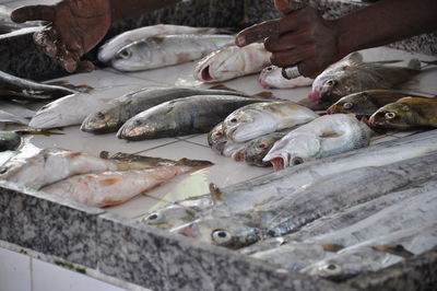 Fish for sale at market stall