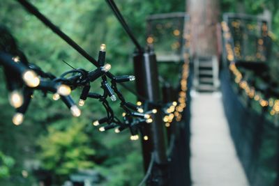 Illuminated string lights on bridge