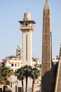 Stone plinth. date palm. mosque tower. luxor, egypt.