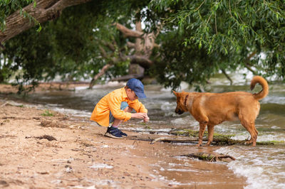 A boy in an orange shirt plays with a red dog on the seashore