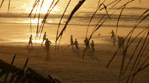 People on beach at sunset