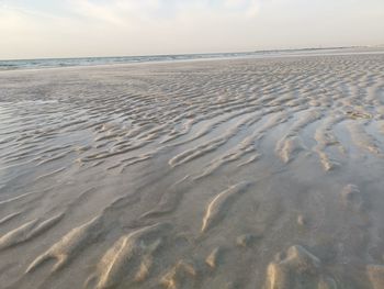 Scenic view of sandy beach against sky