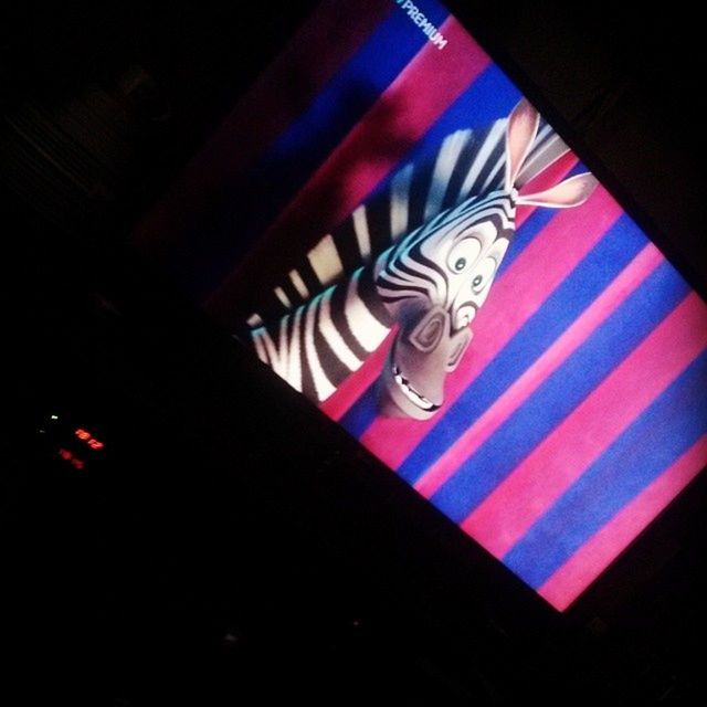 Madagascar3