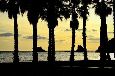 Scenic view of sea at sunset