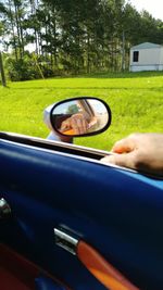 Cropped image of car on road