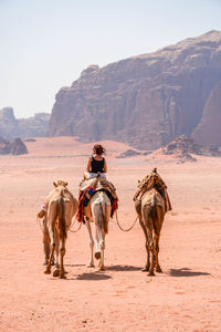 Man riding horse in desert