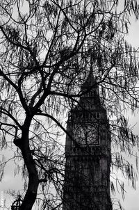 Low angle view of bare trees against sky