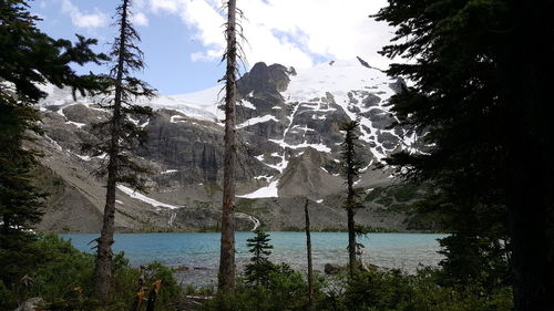 Scenic view of mountains and trees against sky