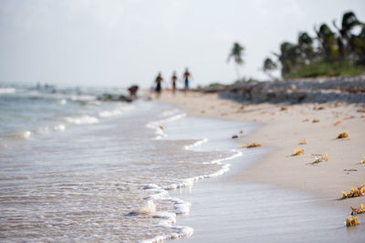 Surface level of beach against sky