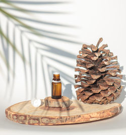 Close-up of pine cone on table