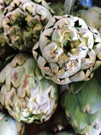 Close-up of flowers